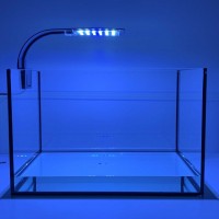 Clip-on led lamp - model: zwart- led: wit en blauw